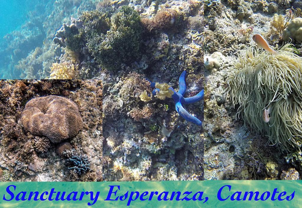 Sun & Sea Home Stay Union  Extérieur photo