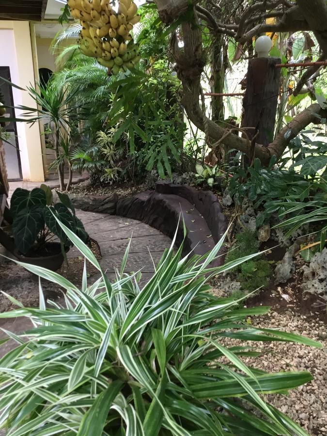 Sun & Sea Home Stay Union  Extérieur photo